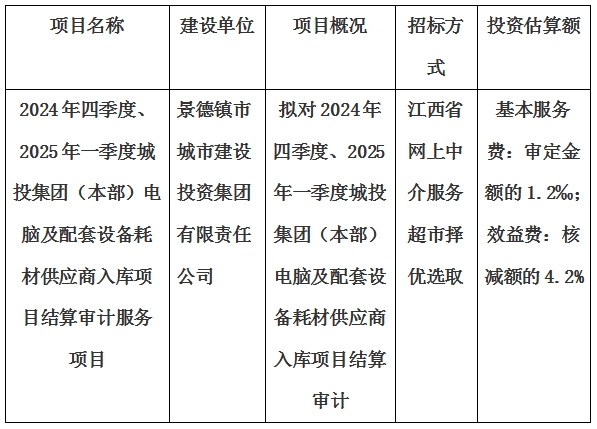 2024年四季度、2025年一季度城投集團(tuán)（本部）電腦及配套設(shè)備耗材供應(yīng)商入庫項目結(jié)算審計服務(wù)項目計劃公告